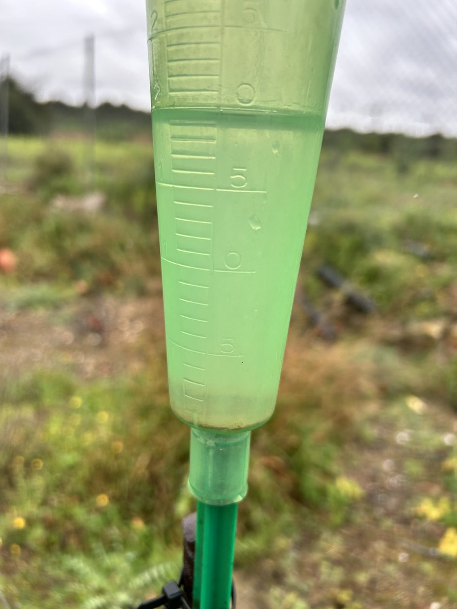 Santi7012 tweet media