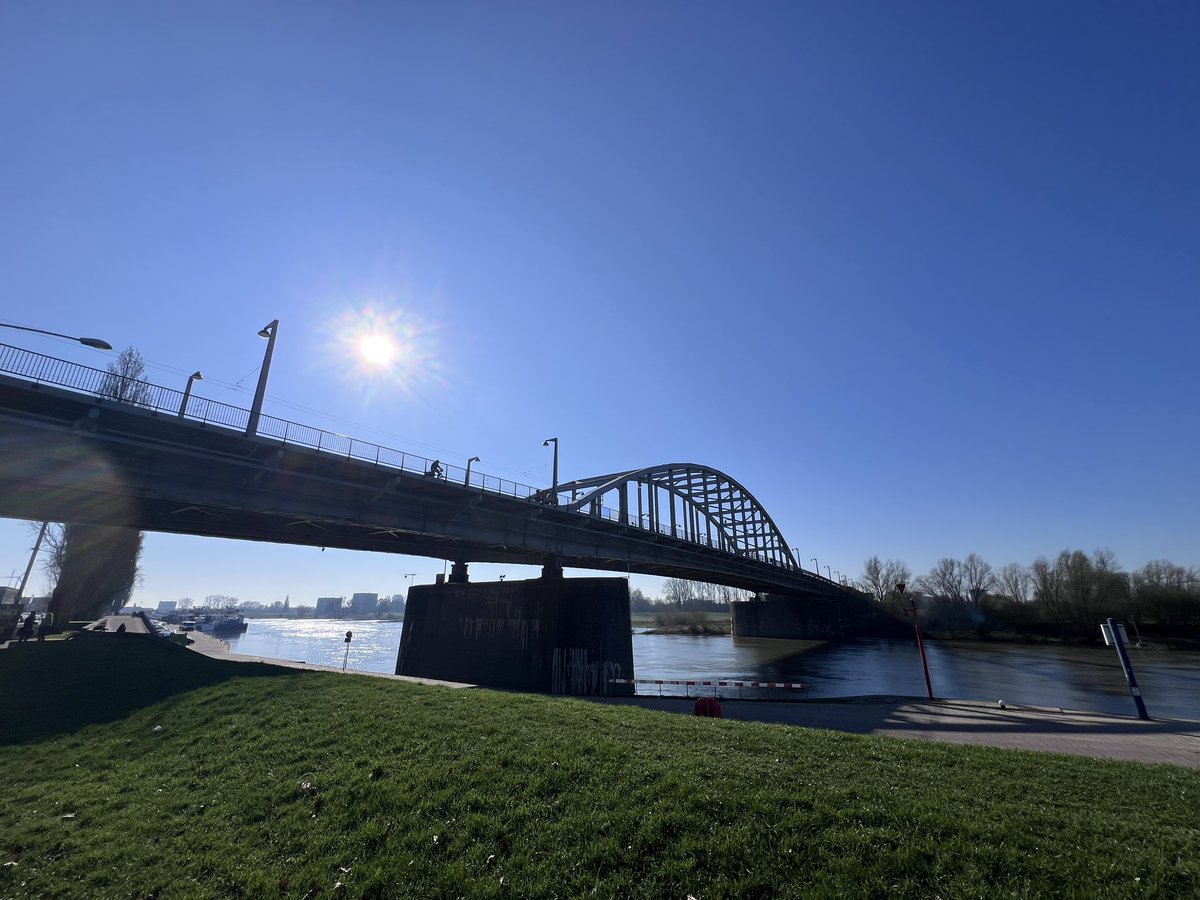 TheItalianProperJob tweet media