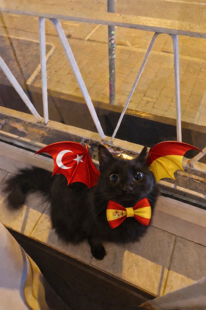 No solo soy el vampiro de Turquía… ahora también soy el vampiro de España : Meyvis 🇹🇷🦇🇪🇸