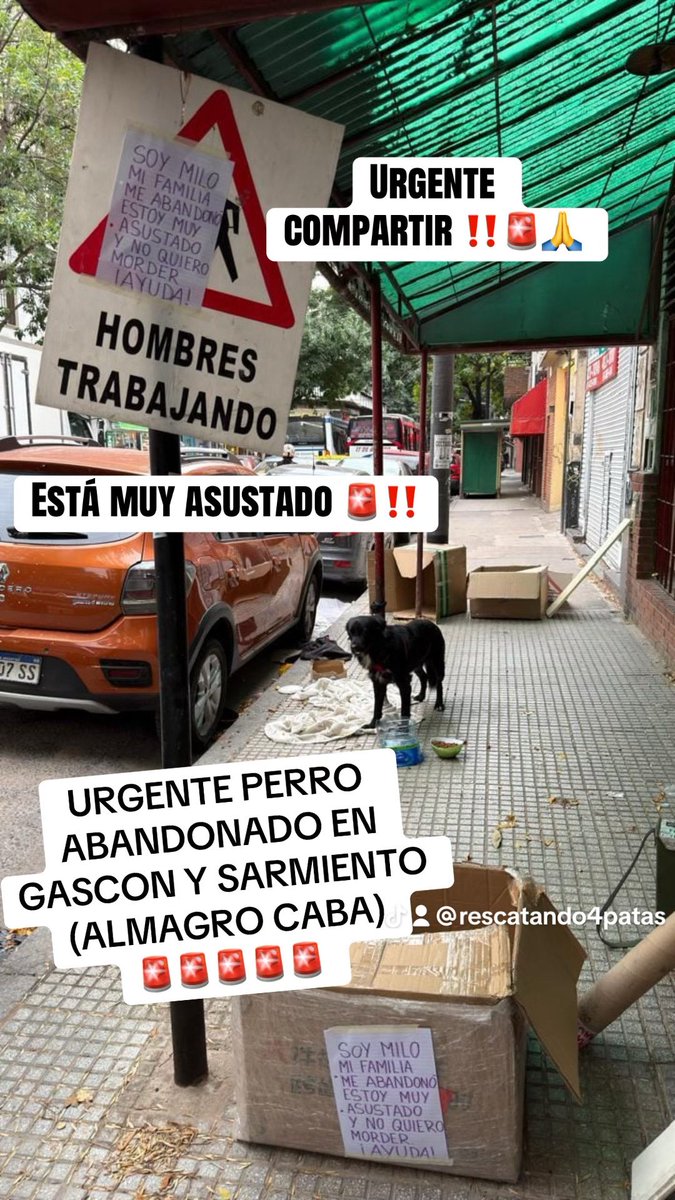 <a href="/yosiome/">Stella, como la cerveza.</a>  Urgente perro recién abandonado en ALMAGRO ( GASCON Y SARMIENTO SOBRE GASCON) CABA
 envío urgente para compartir🚨🚨🚨🚨
Rescatando4patas