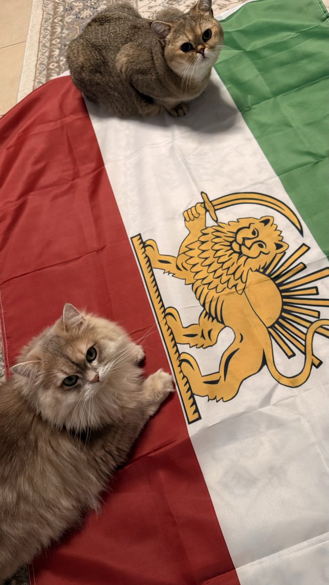 ایران خانوم tweet media