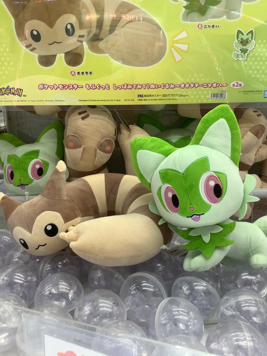 ぬいぐるみ入荷情報⭐️ ポケットモンスターもふぐっとしっぽみてみて