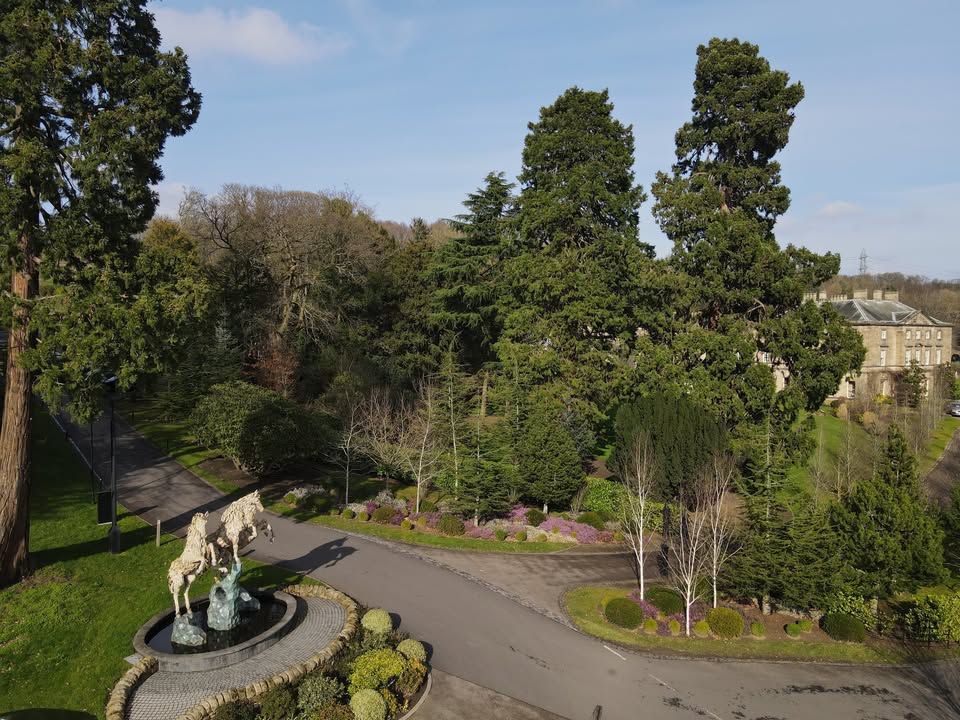 Close House Golf tweet media