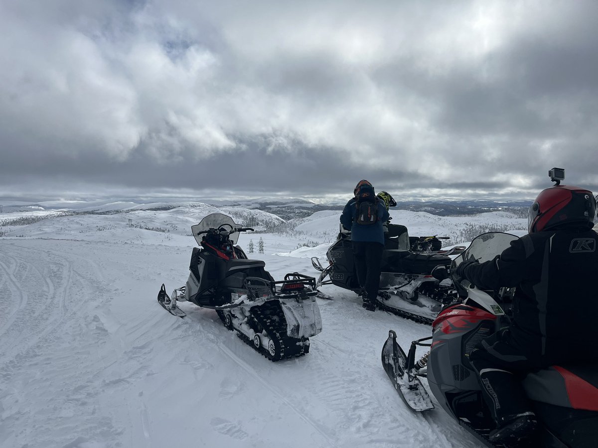 jim saul 🇨🇦🌽🐓 tweet media