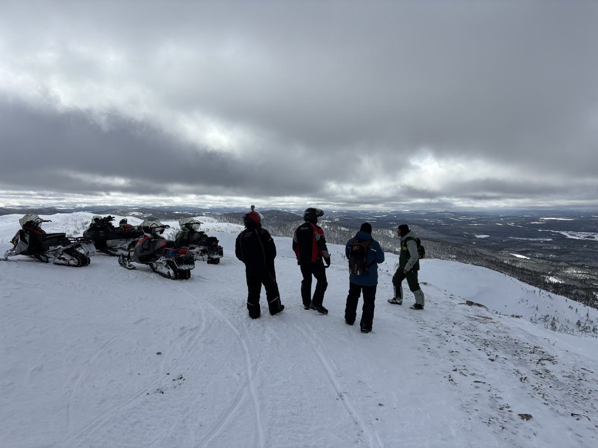 jim saul 🇨🇦🌽🐓 tweet media