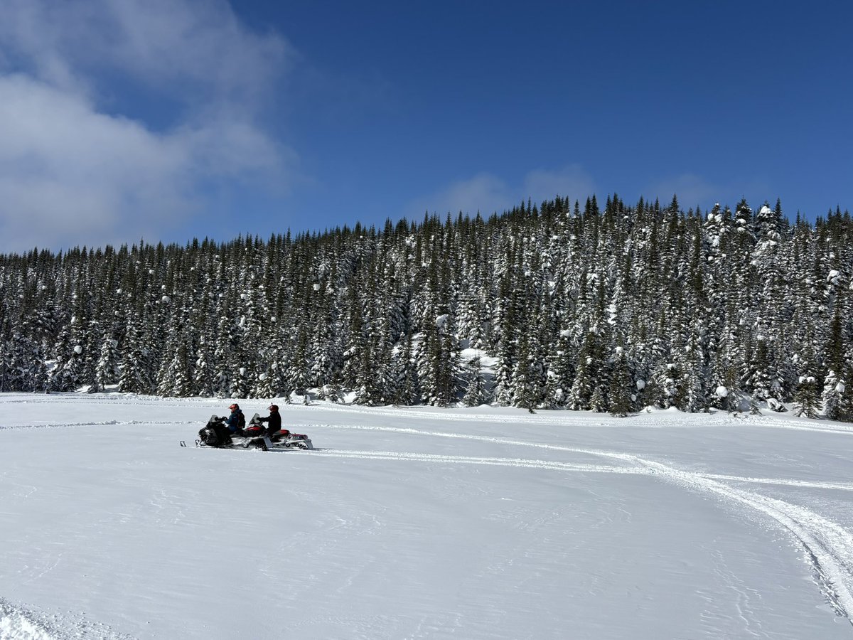 jim saul 🇨🇦🌽🐓 tweet media