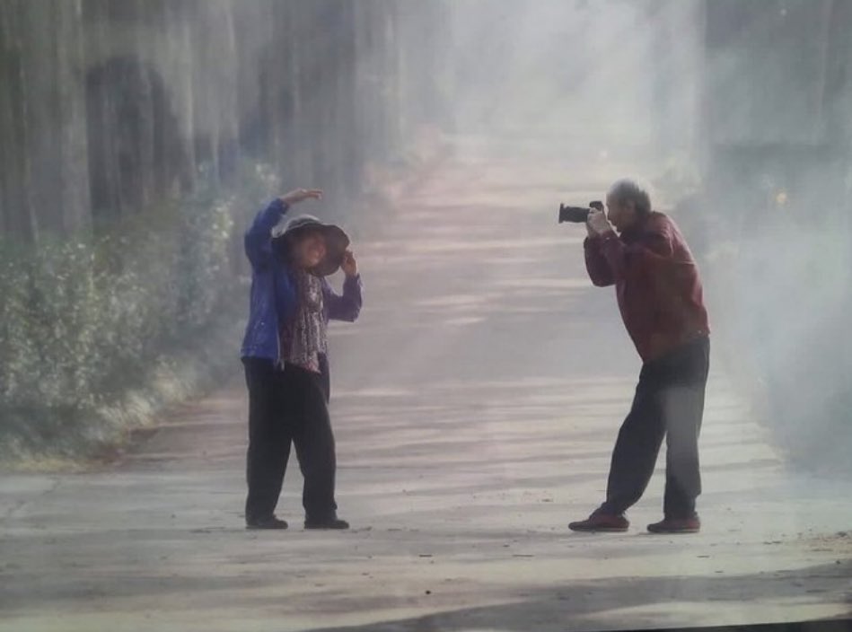 보들보들 tweet media