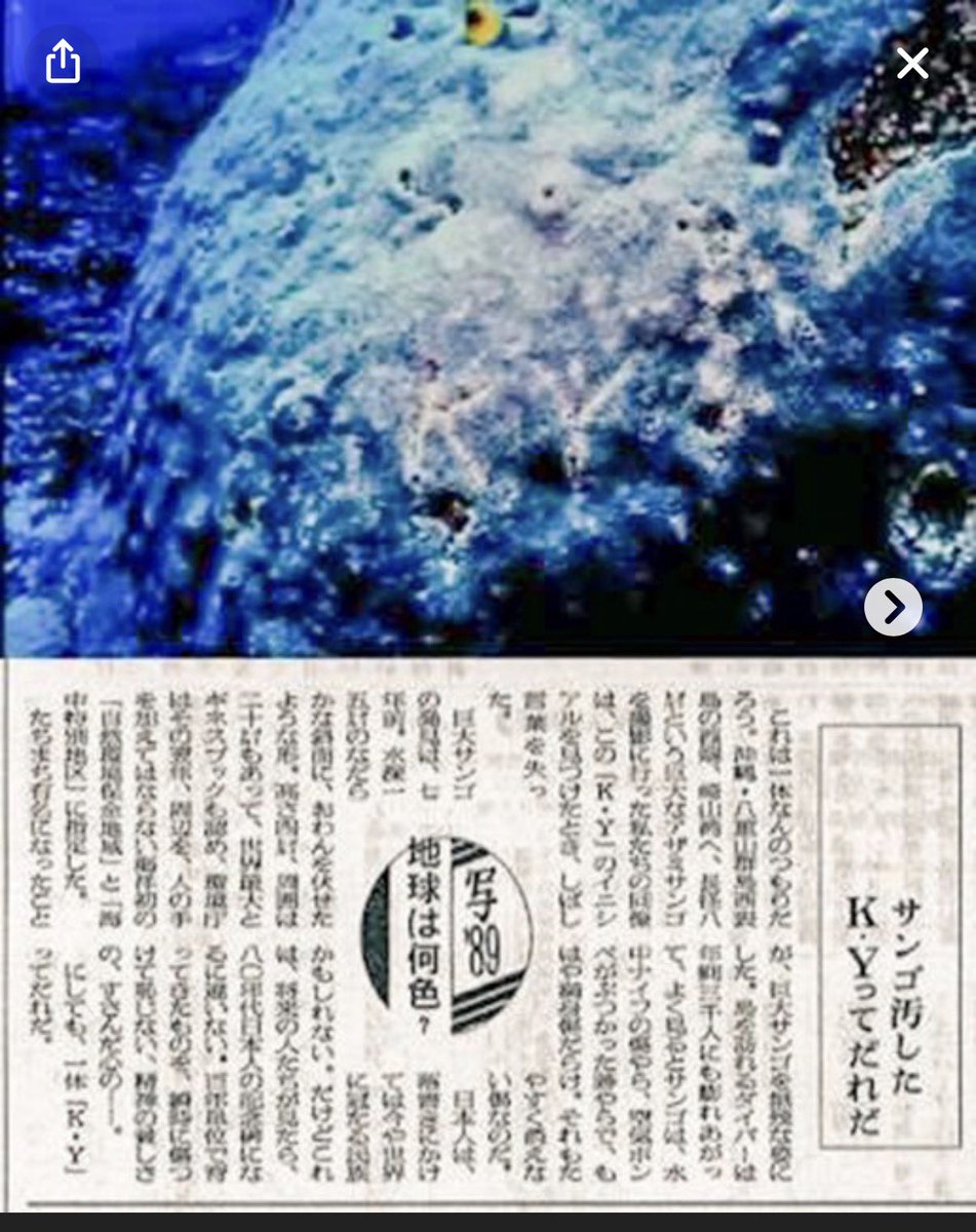 清掃員 tweet media