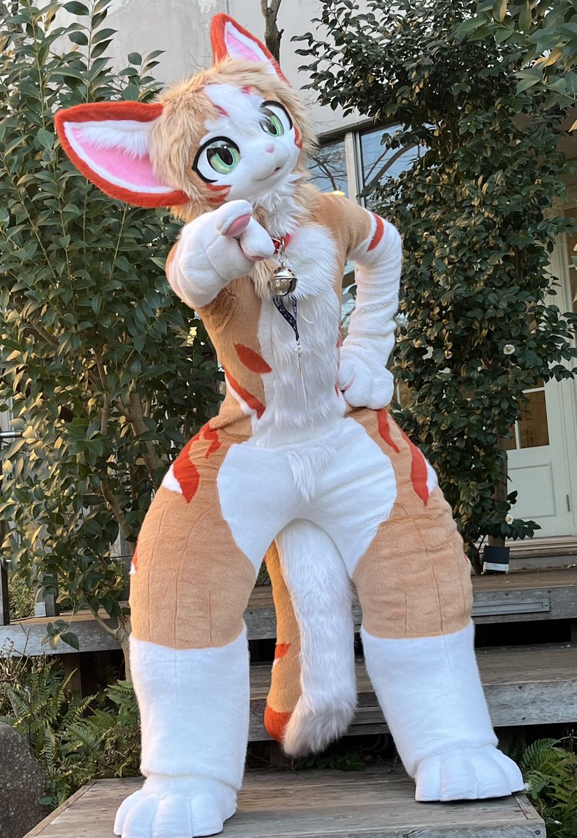 アラスカル tweet media