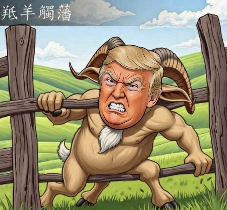 Dragon Field tweet media