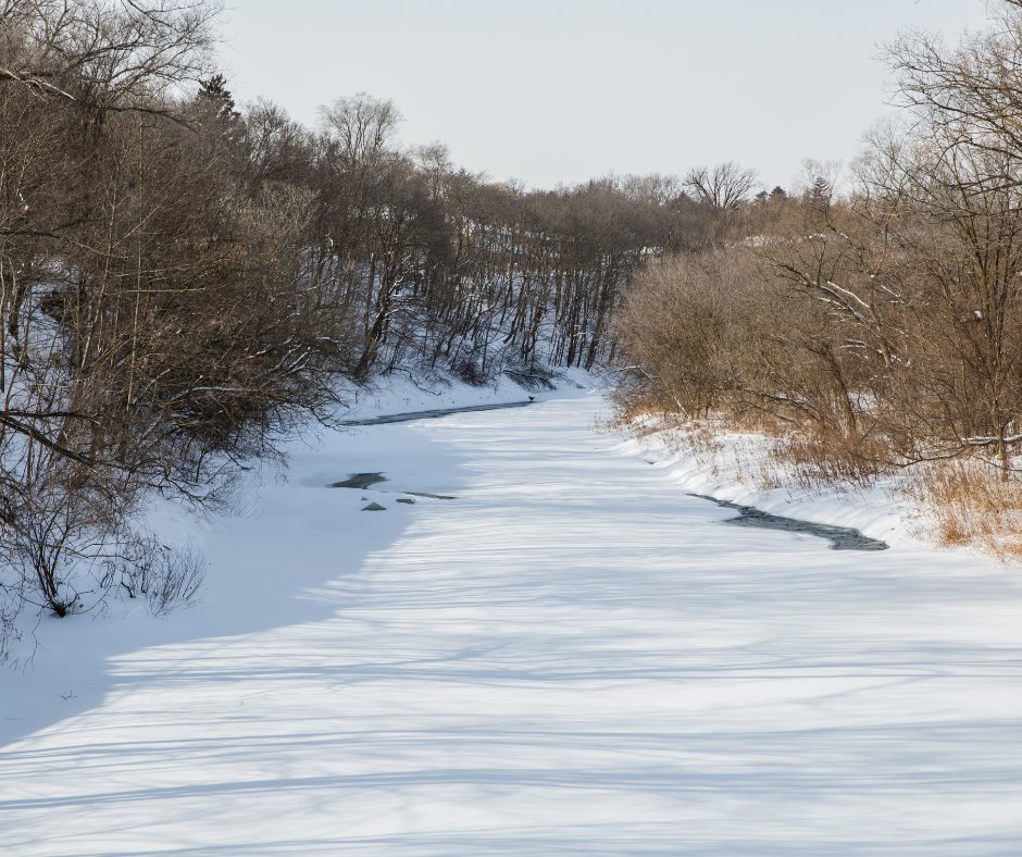 City of Toronto 🇨🇦 tweet media