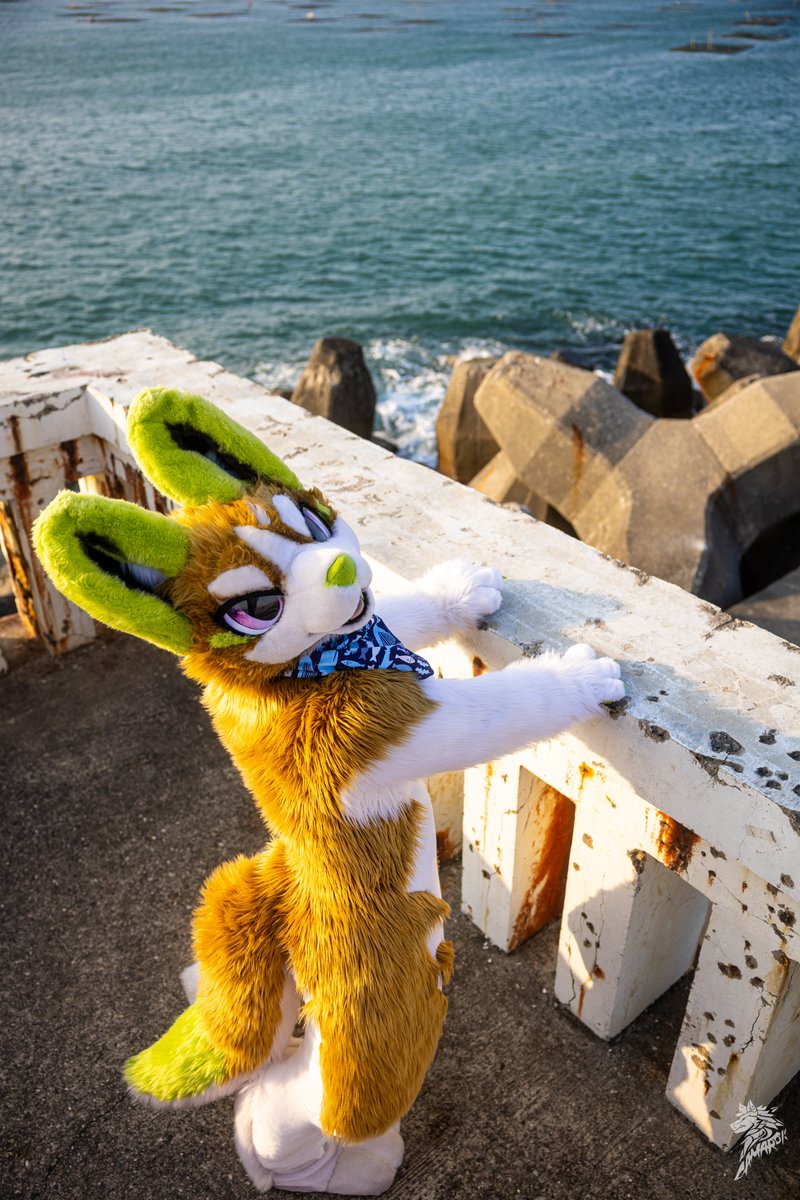 PLANT@TAIWAN tweet media