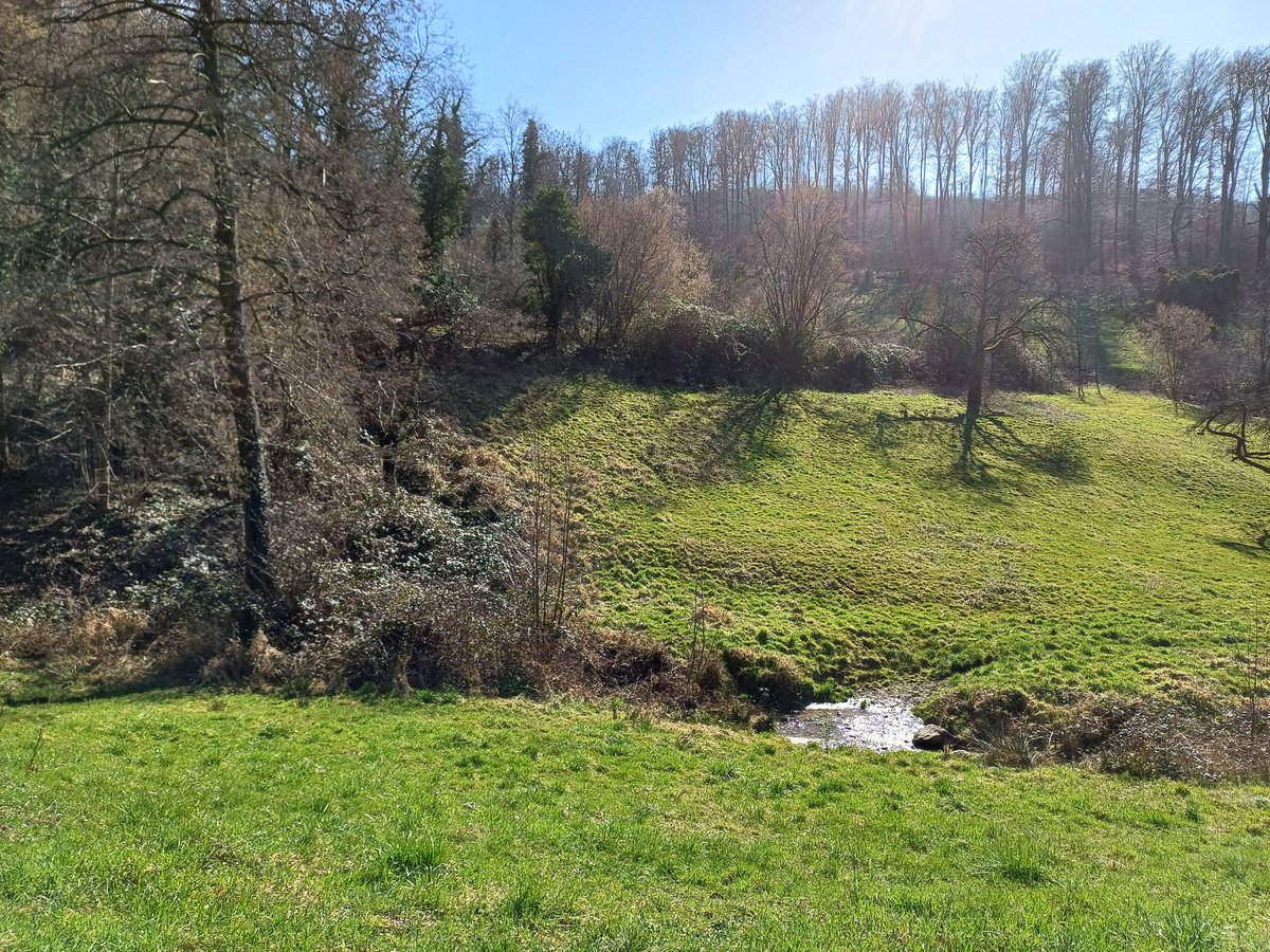 klausamtresen's tweet photo. Bewusste Auszeiten in der Natur, wie Wandern oder stilles Beobachten, fördern die mentale Gesundheit.
Ausflug ins Tal der Rosen. 
#Heimatliebe
#DigitaleEntgiftung https://t.co/XpKyRN1I5S
