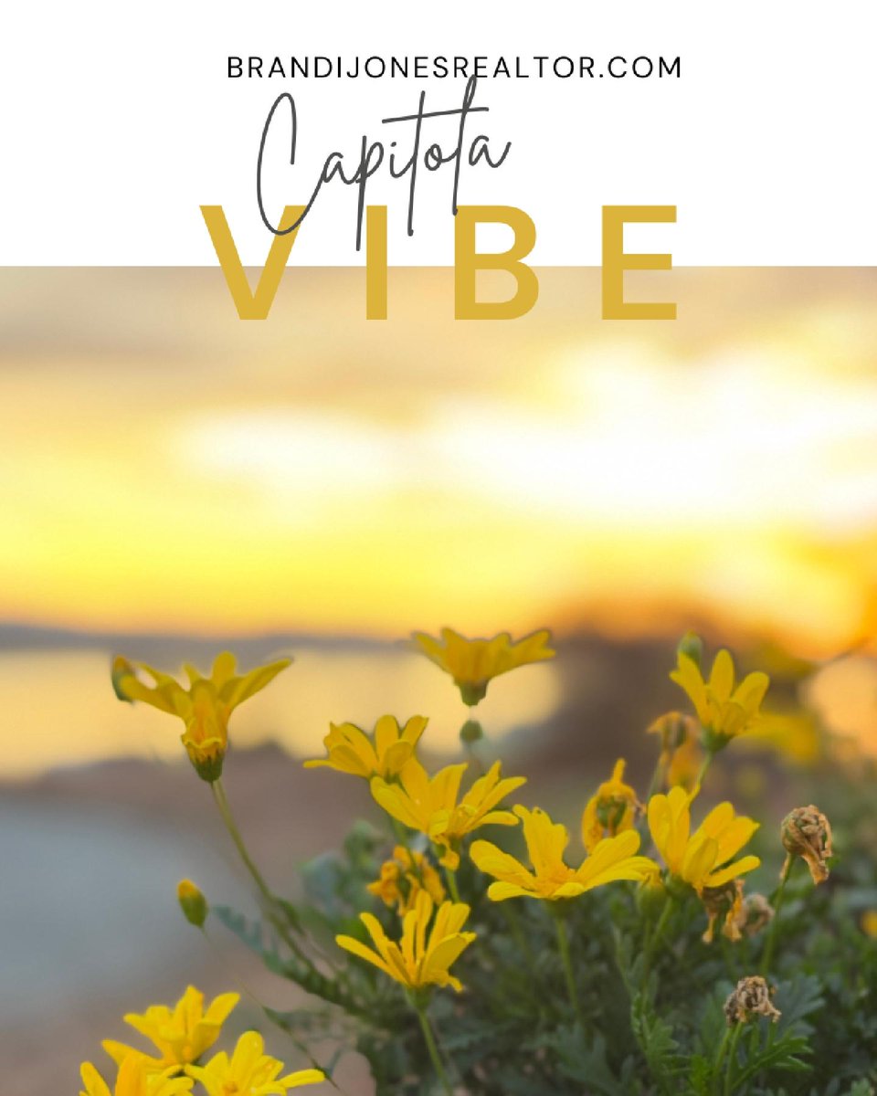 Finding a house is easy; finding a community that restores you is the real challenge. With 20+ years in Santa Cruz &amp; Monterey Bay, I’ll help you find your rhythm and a lifestyle you love. Stop searching and start living.

Brandi Jones | REALTOR®
brandijonesrealtor.com