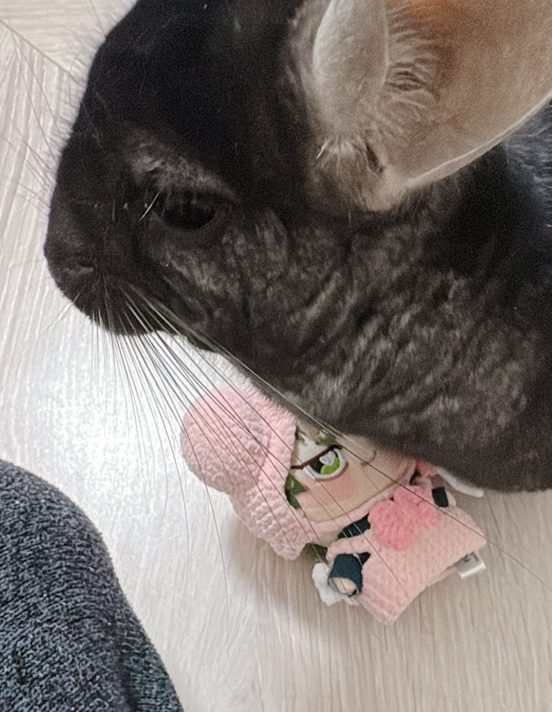 直哉の上乗らないよ