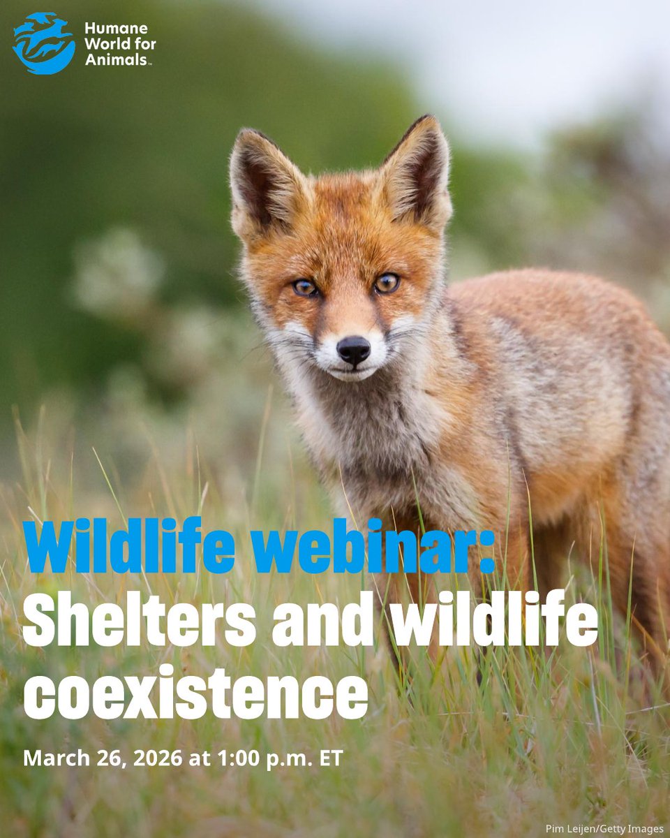 HumanePro tweet media