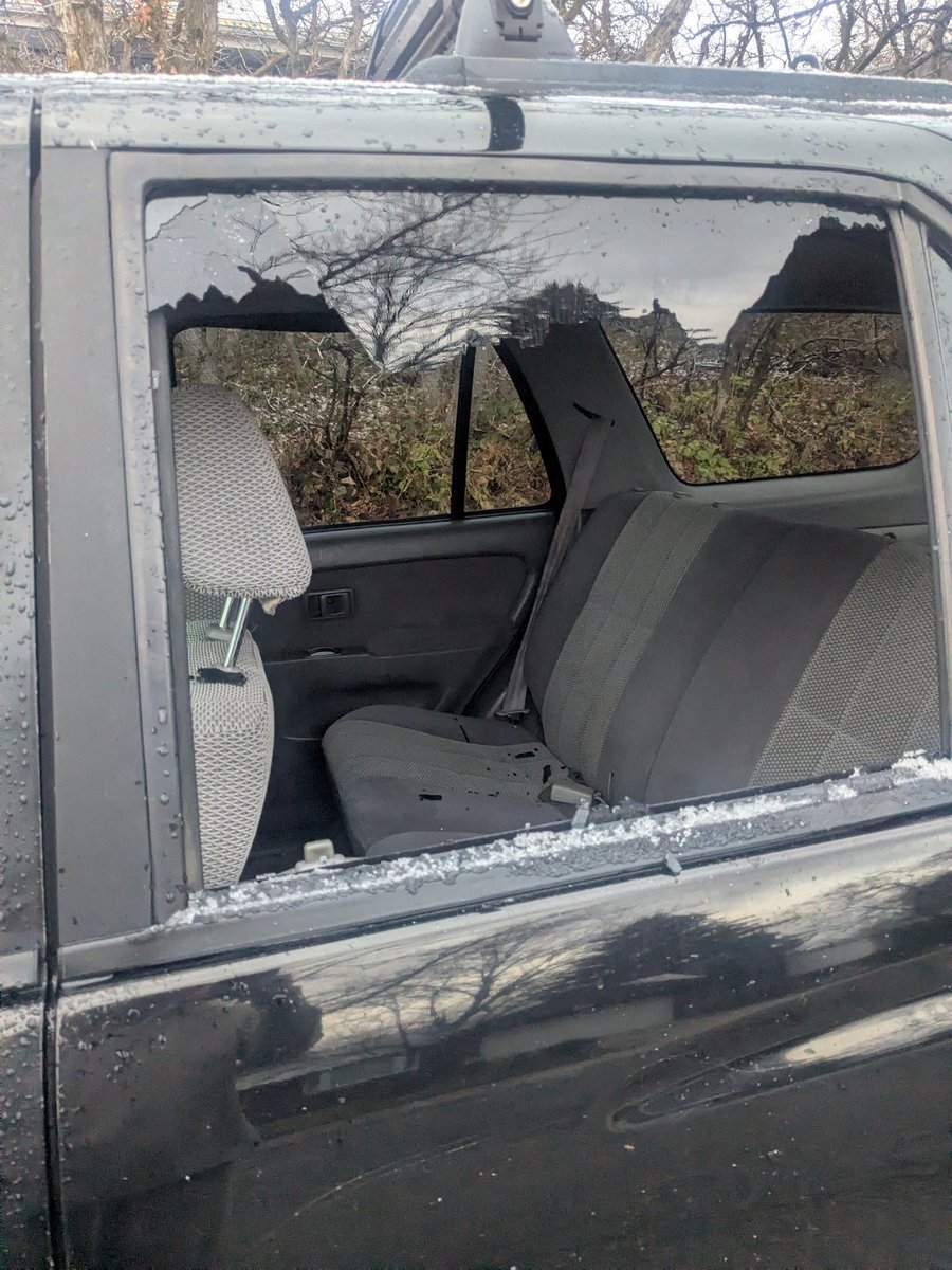 Robynnnnnn tweet media