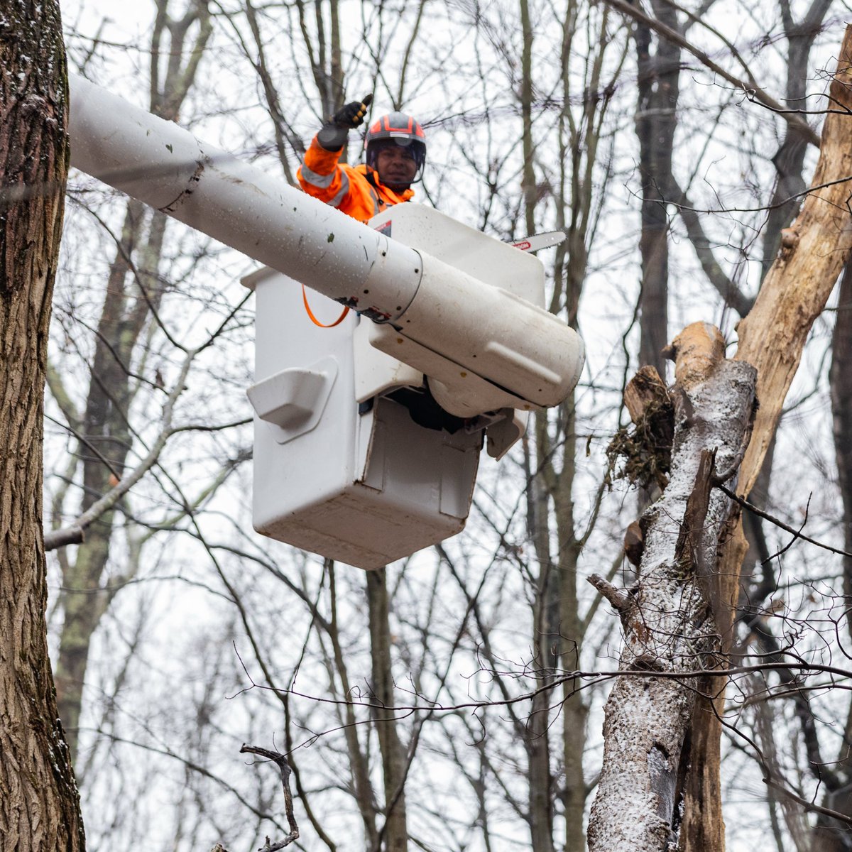 K&J Tree Service tweet media