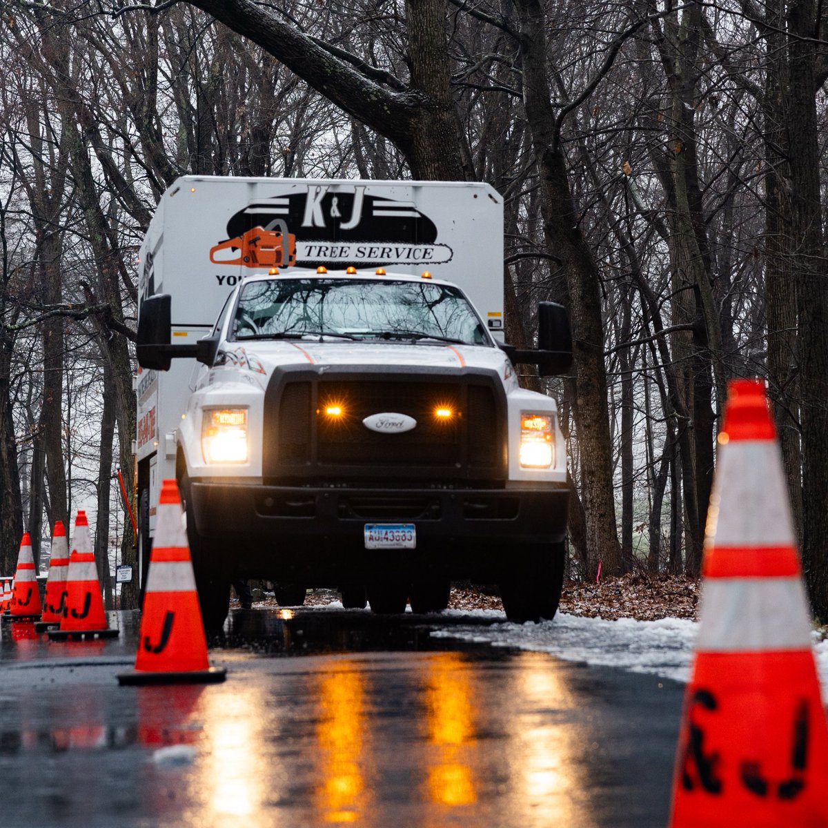 K&J Tree Service tweet media