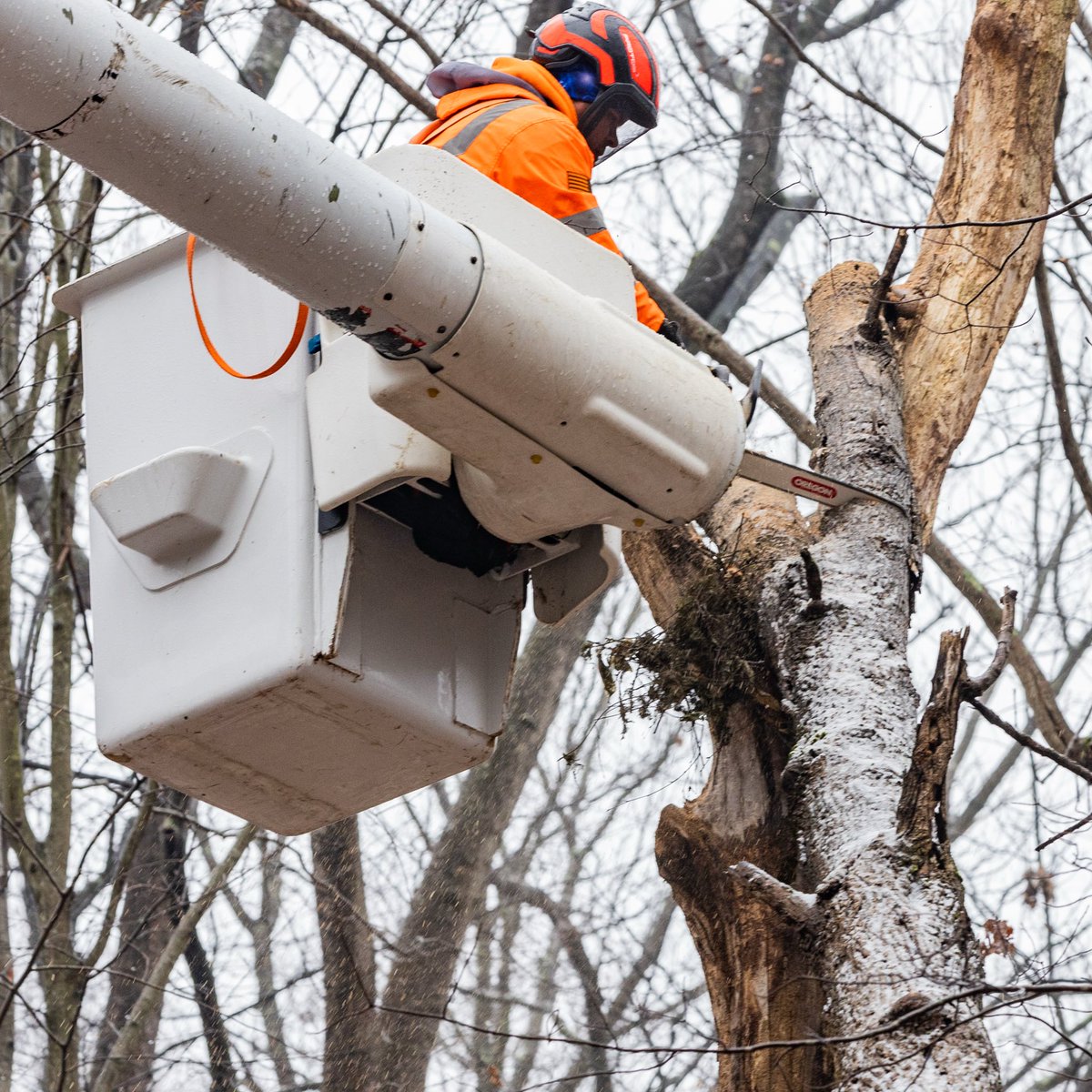 K&J Tree Service tweet media