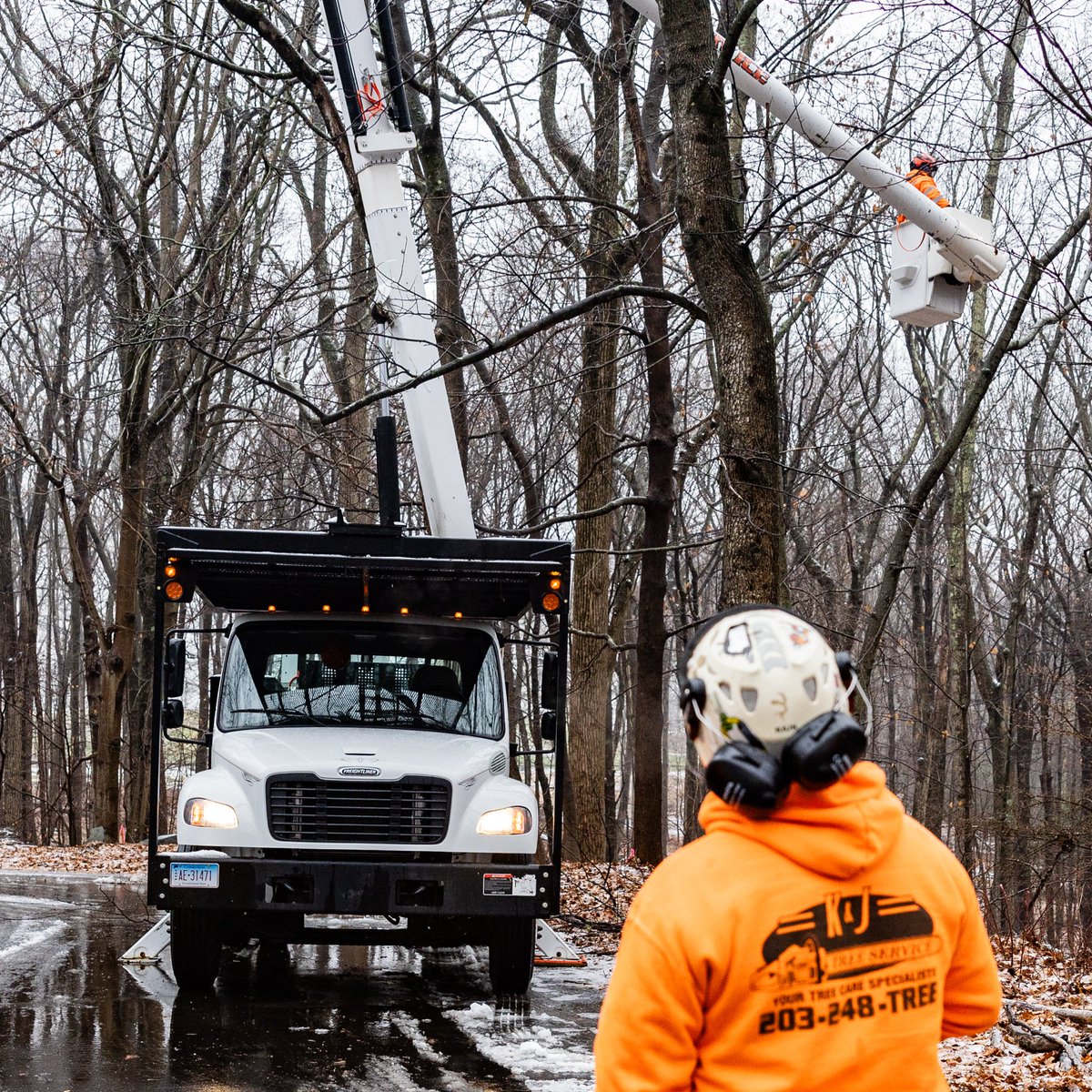 K&J Tree Service tweet media