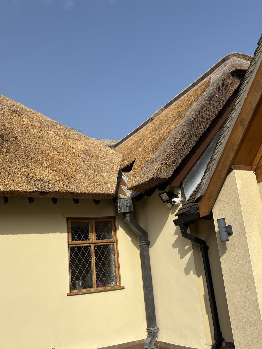 Master Thatchers Ltd tweet media