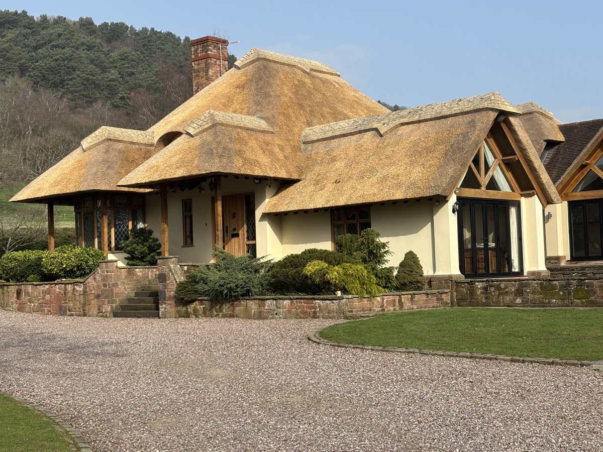 Master Thatchers Ltd tweet media