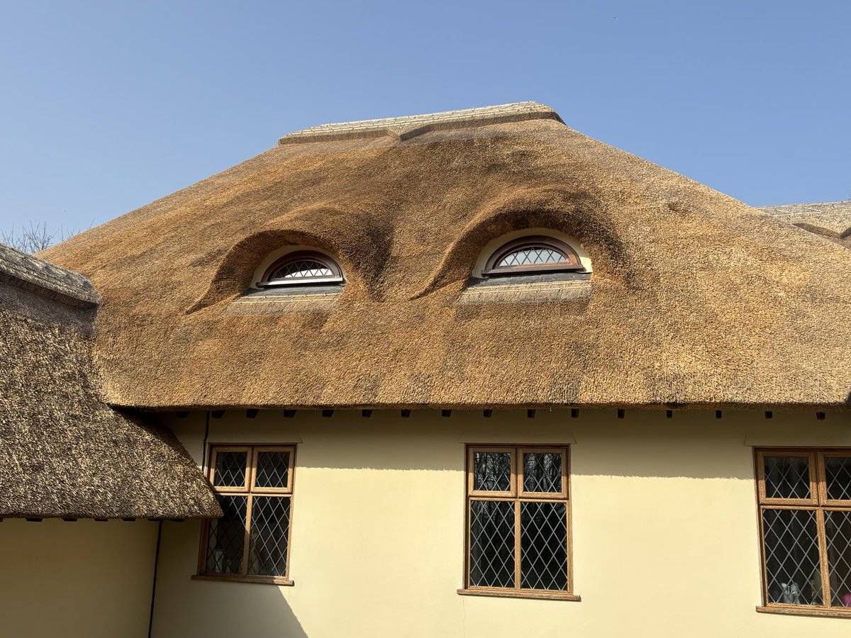 Master Thatchers Ltd tweet media