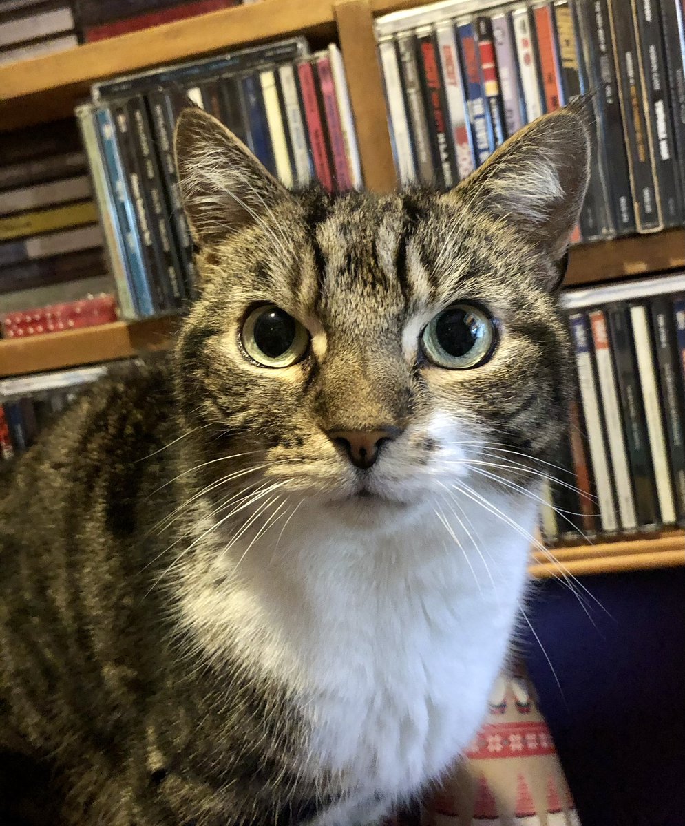 Barney Beernard tweet media