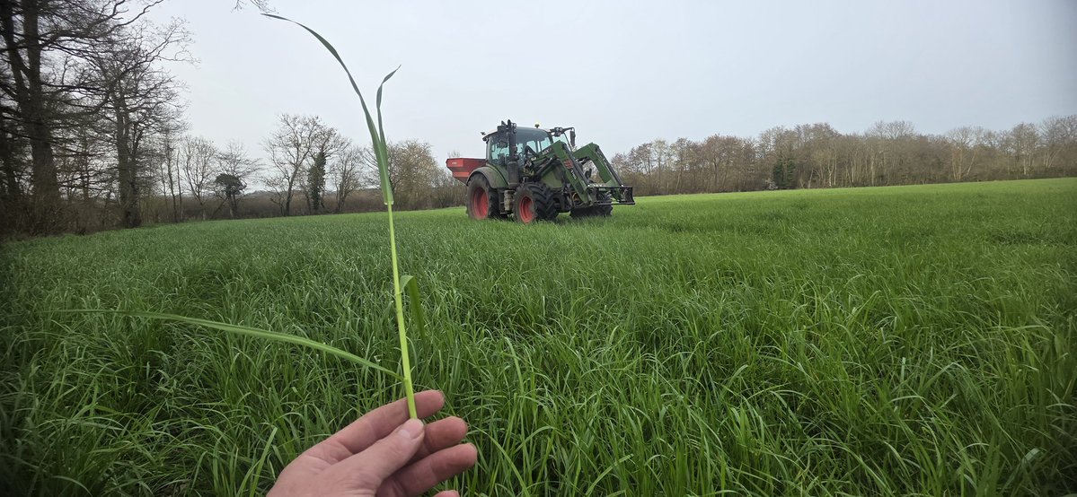 Antoine Thibault tweet media