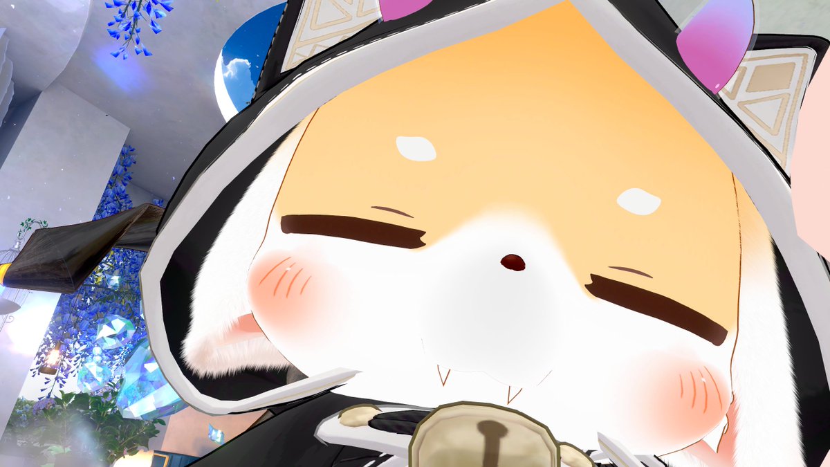 まめいぬ tweet media