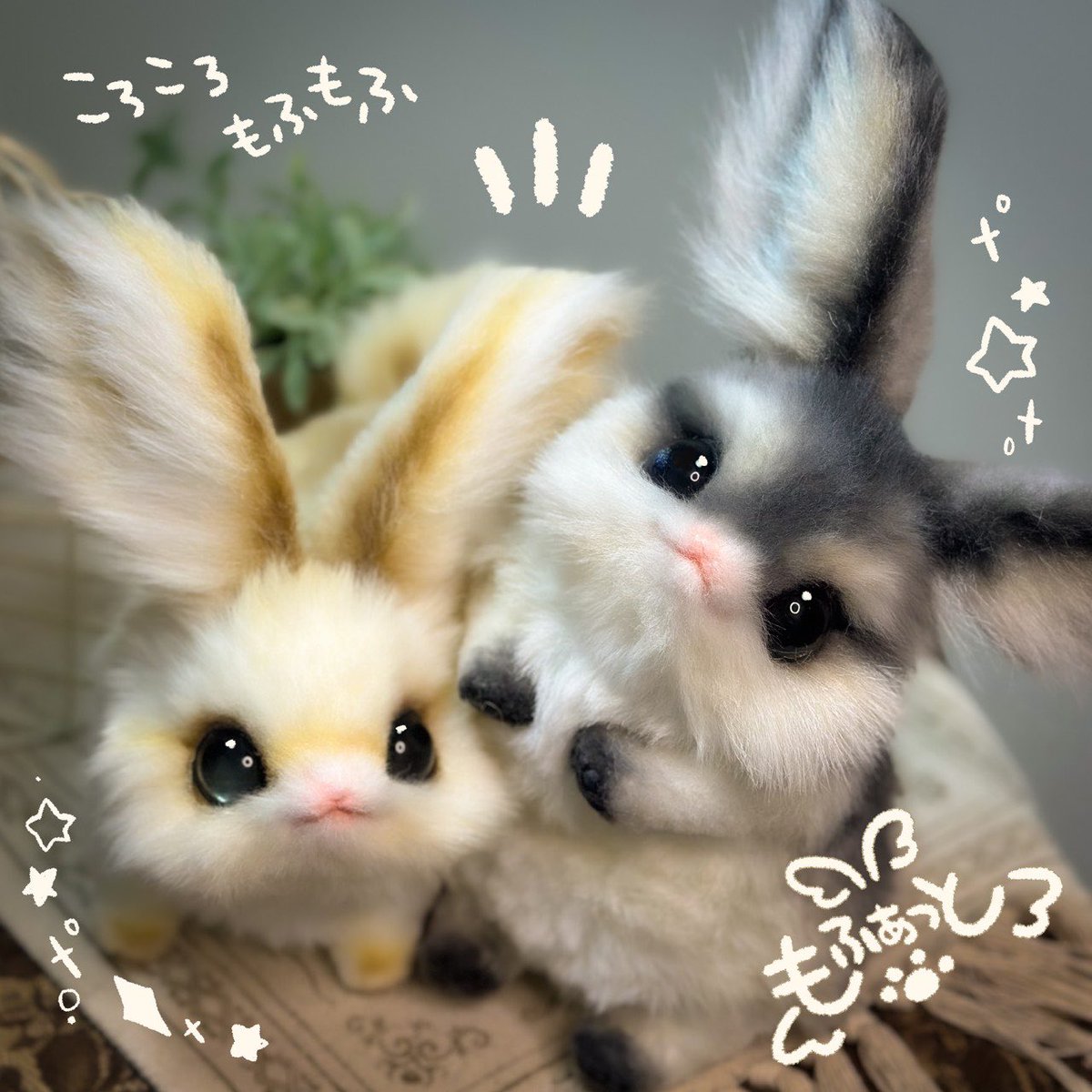 イベント用にご用意していた【もふぁっと】です✨ 背中の羽と首周りの