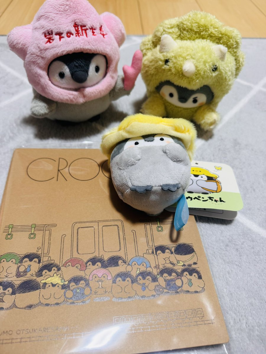 新しいお友達をお迎えしたよ