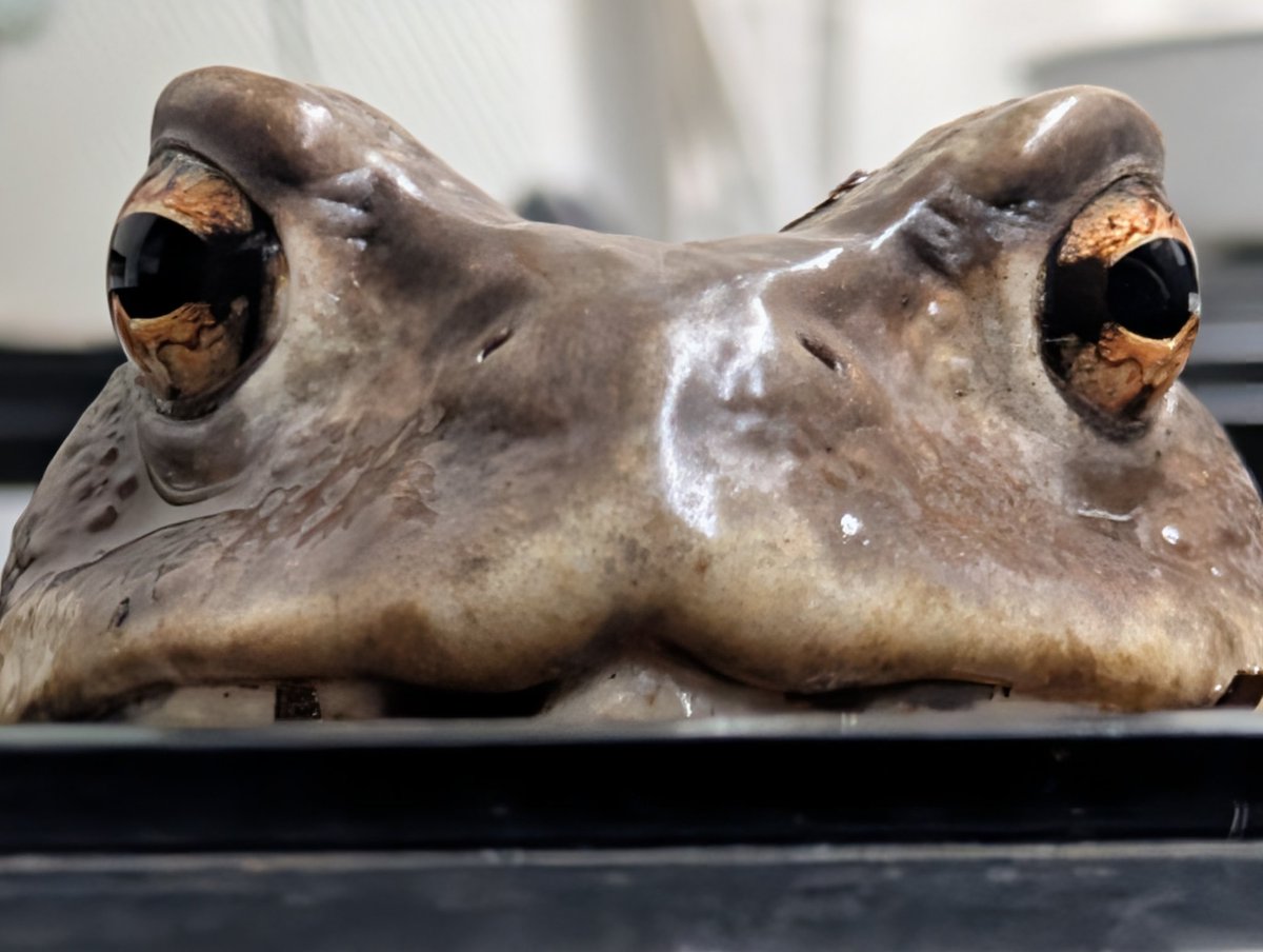 確定申告 tweet media