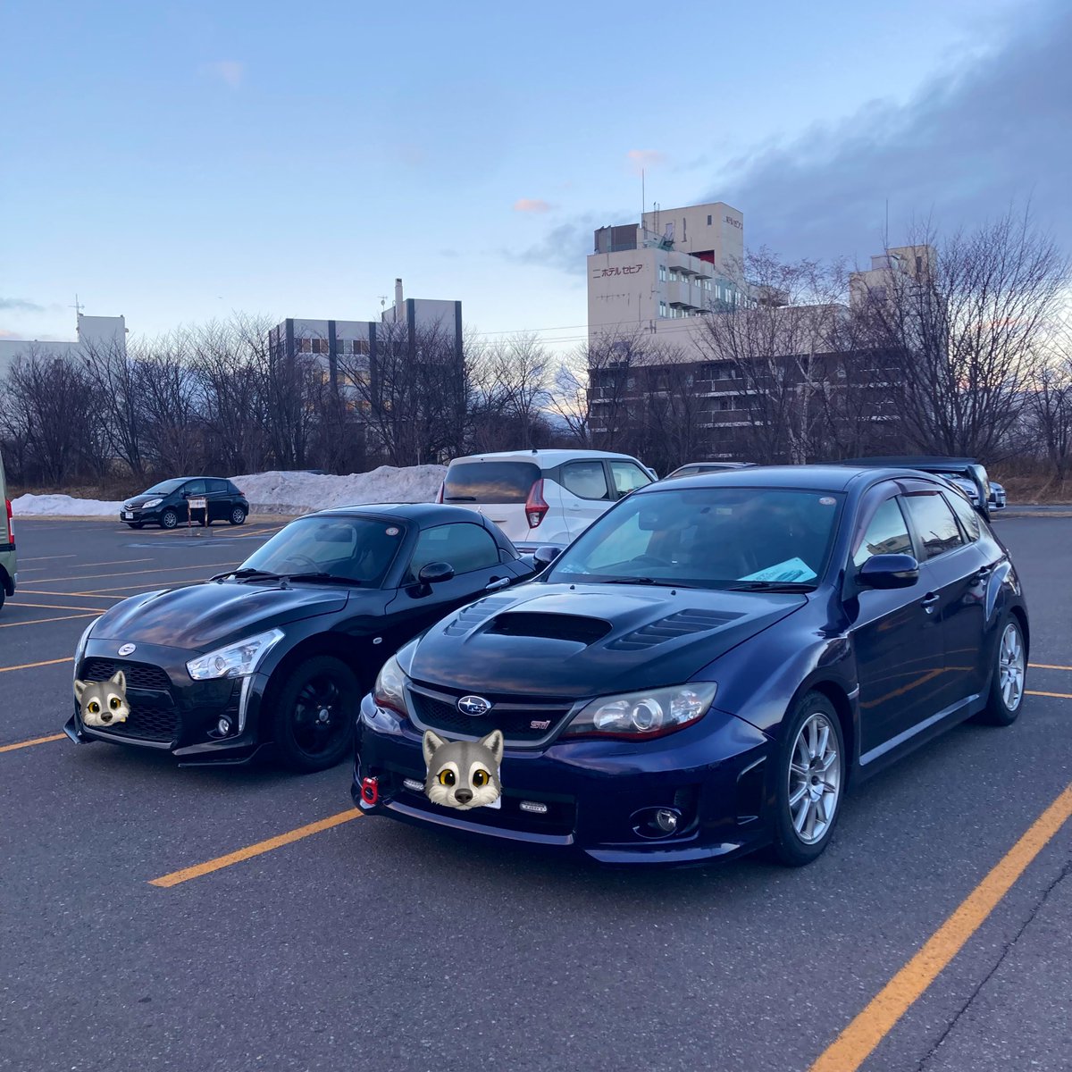 みすけ🧸🎁 tweet media