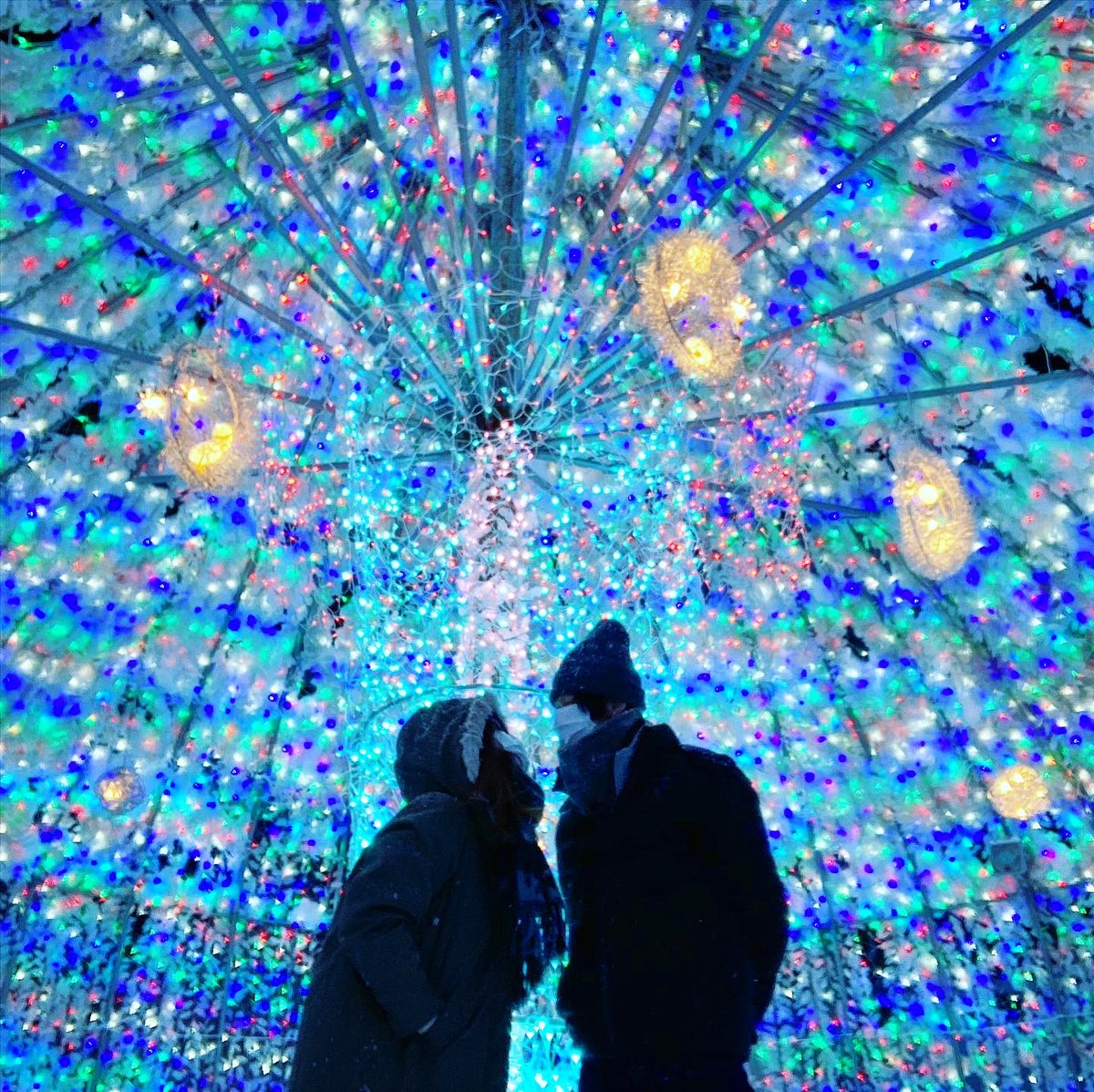 みすけ🧸🎁 tweet media