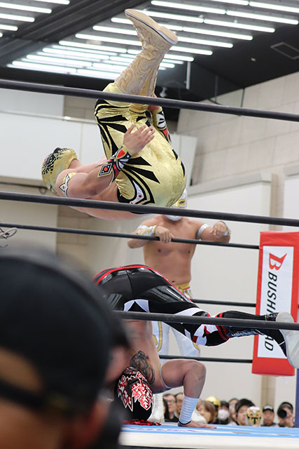 chika_dahlia's tweet photo. 2026/2/22
NJPW PRESENTS CMLL FANTASTICA MANIA 2026
ATCホール
第6試合【『FANTASTICA MANIA 2026』タッグトーナメント準決勝戦】
マスカラ・ドラダ、ミスティコ vs バリエンテ・ジュニア、フトゥーロ①
#MascaraDorada
#ValienteJr #Futuro
#FM2026 #njcmll #FantasticaMania2026 https://t.co/z2jop5zhay
