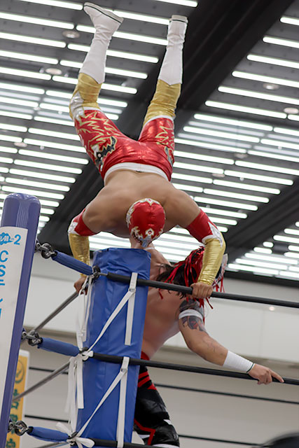 chika_dahlia's tweet photo. 2026/2/22
NJPW PRESENTS CMLL FANTASTICA MANIA 2026
ATCホール
第6試合【『FANTASTICA MANIA 2026』タッグトーナメント準決勝戦】
マスカラ・ドラダ、ミスティコ vs バリエンテ・ジュニア、フトゥーロ①
#MascaraDorada
#ValienteJr #Futuro
#FM2026 #njcmll #FantasticaMania2026 https://t.co/z2jop5zhay