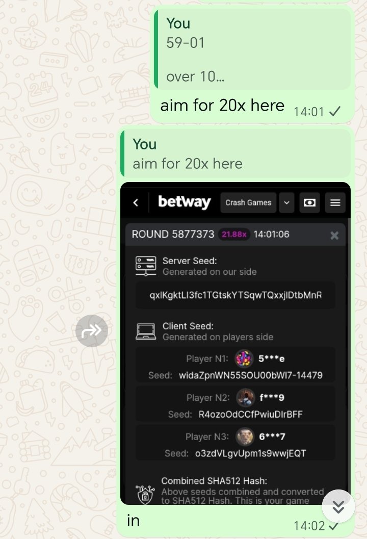 that airplane guy tweet media