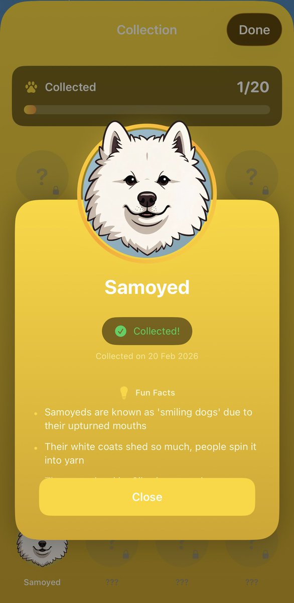 Akilles 𝔸dmin tweet media