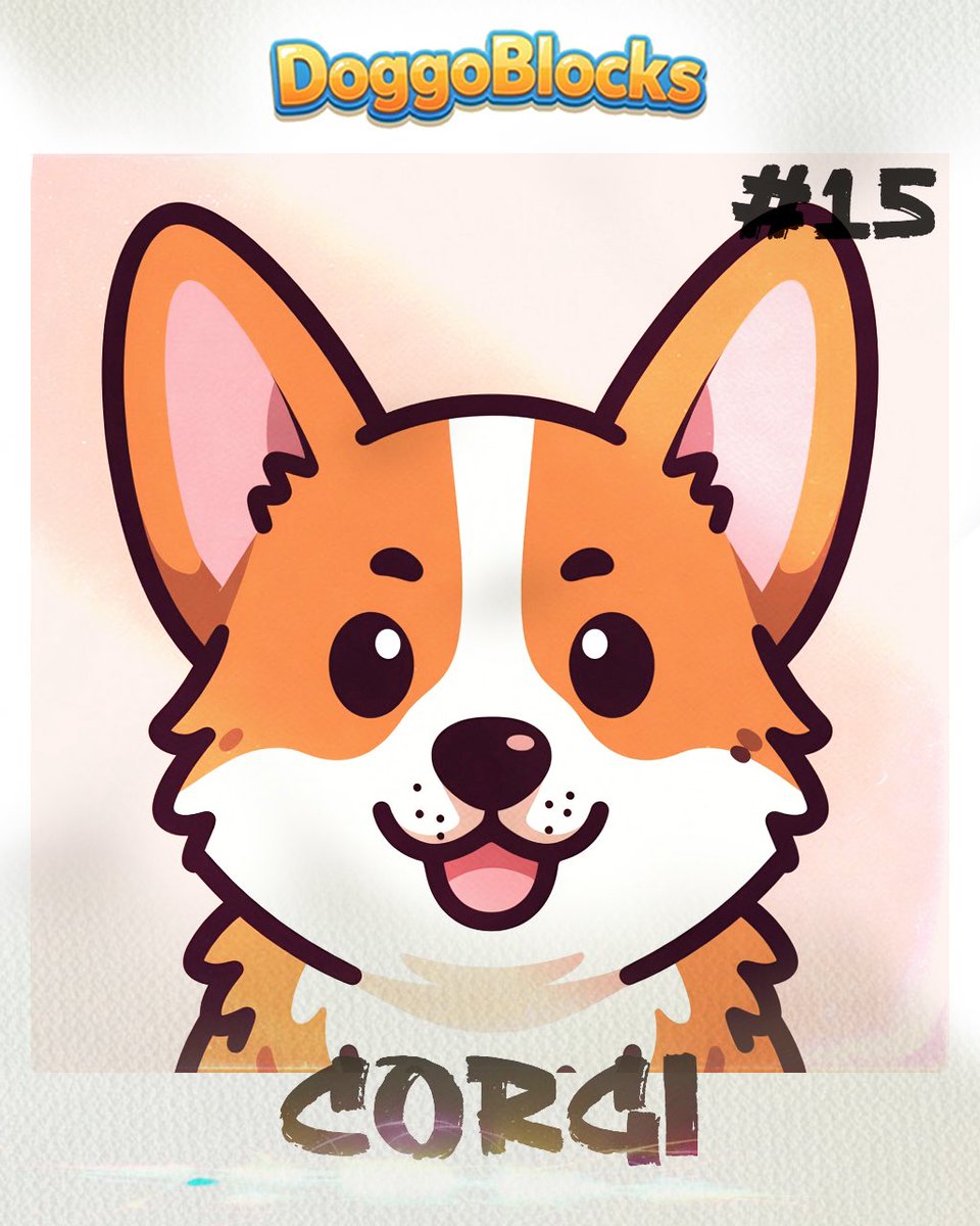 Akilles 𝔸dmin tweet media