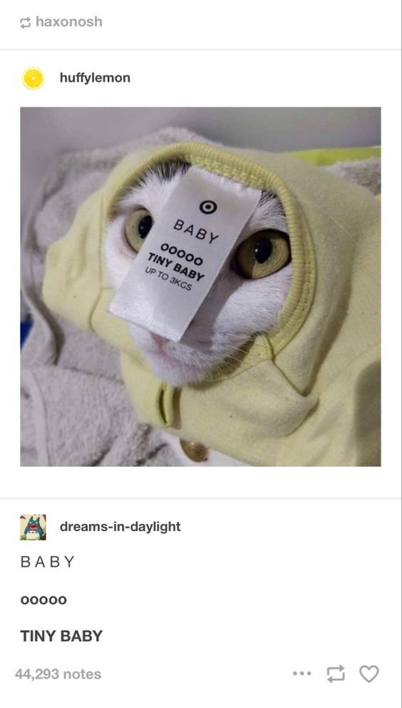 WholesomeMeme's tweet photo. https://t.co/EIrv4f6n8U