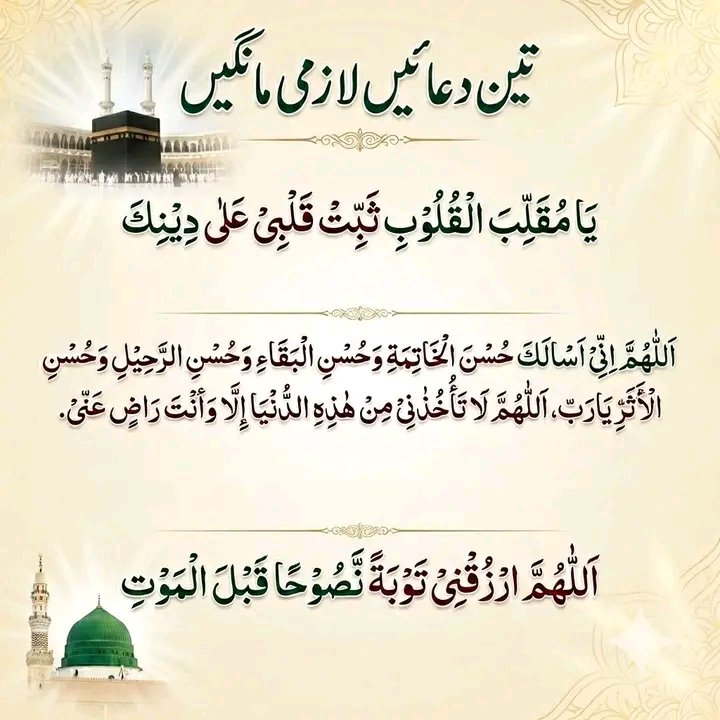 عام پاکستانی tweet media