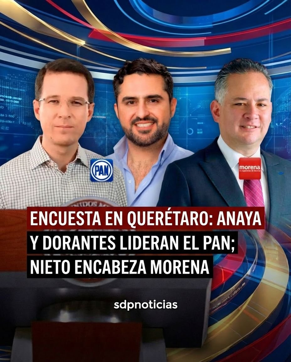 SDP Noticias tweet media