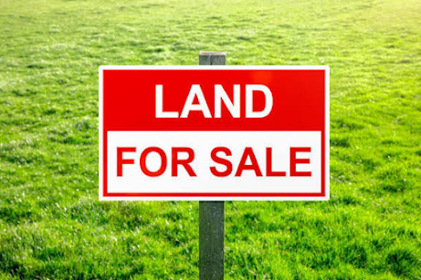 Getzuru's tweet photo. https://t.co/kGLls3i3my 
You Will Never Go Wrong with Land: The Biggest Lie Keeping professionals Poor https://t.co/vfqIjUwmsG