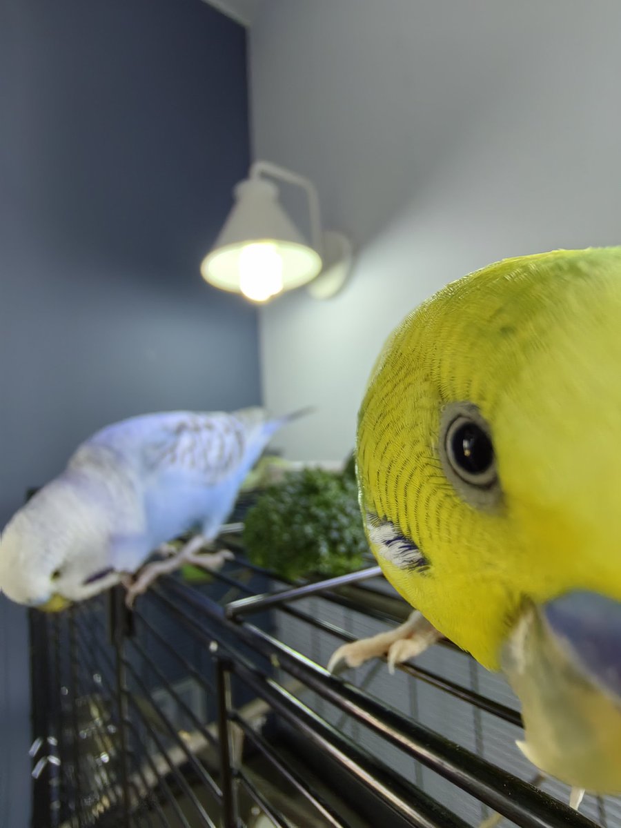 TechieSxC tweet media