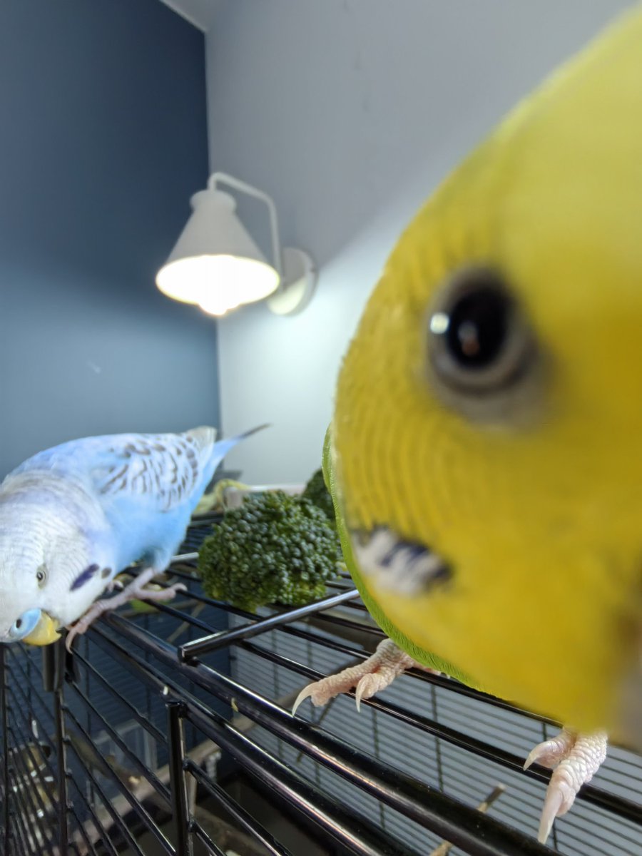 TechieSxC tweet media