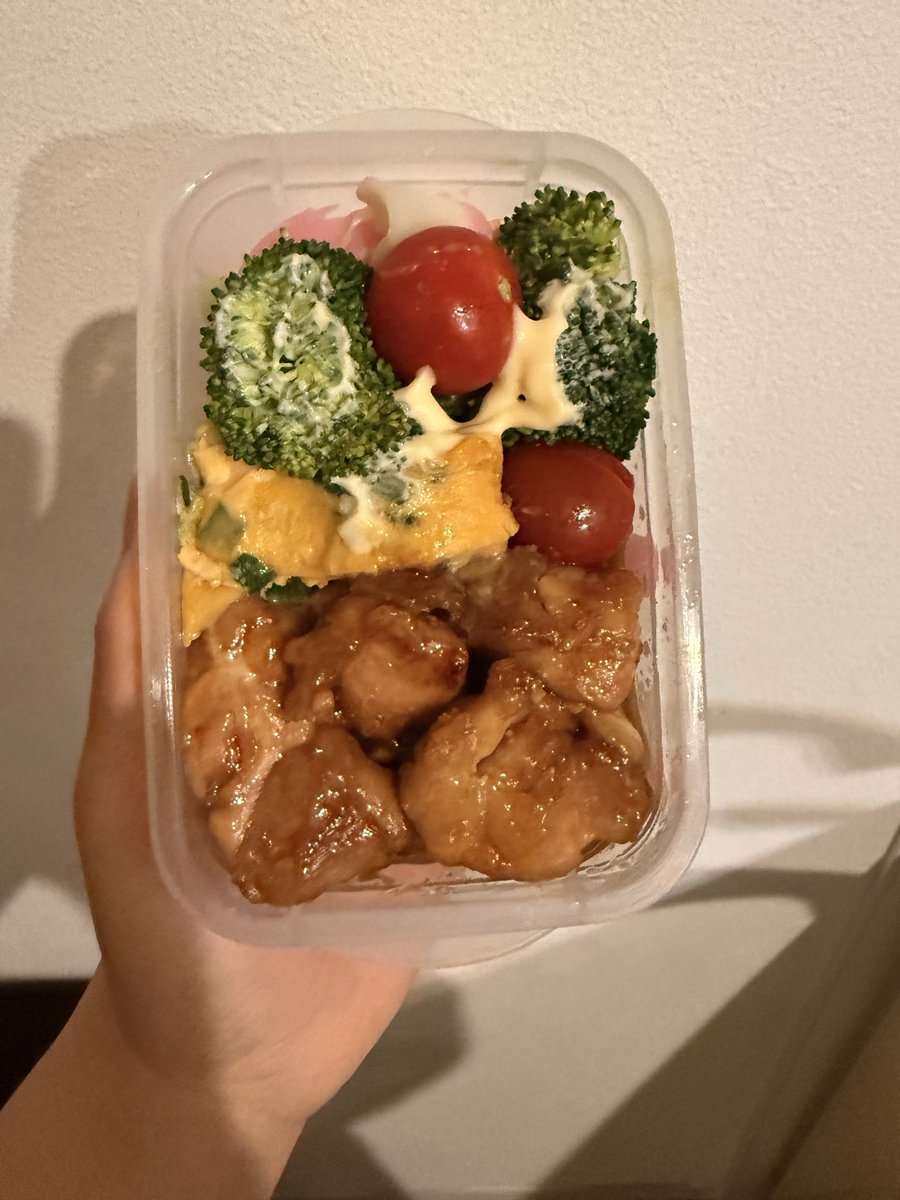 ←ひと用の弁当|自分用の弁当→
自分で作るとこんなもんだよね