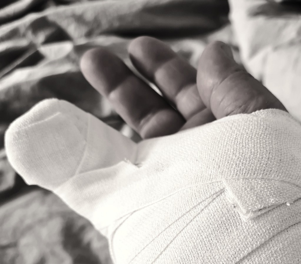 François Camé tweet media