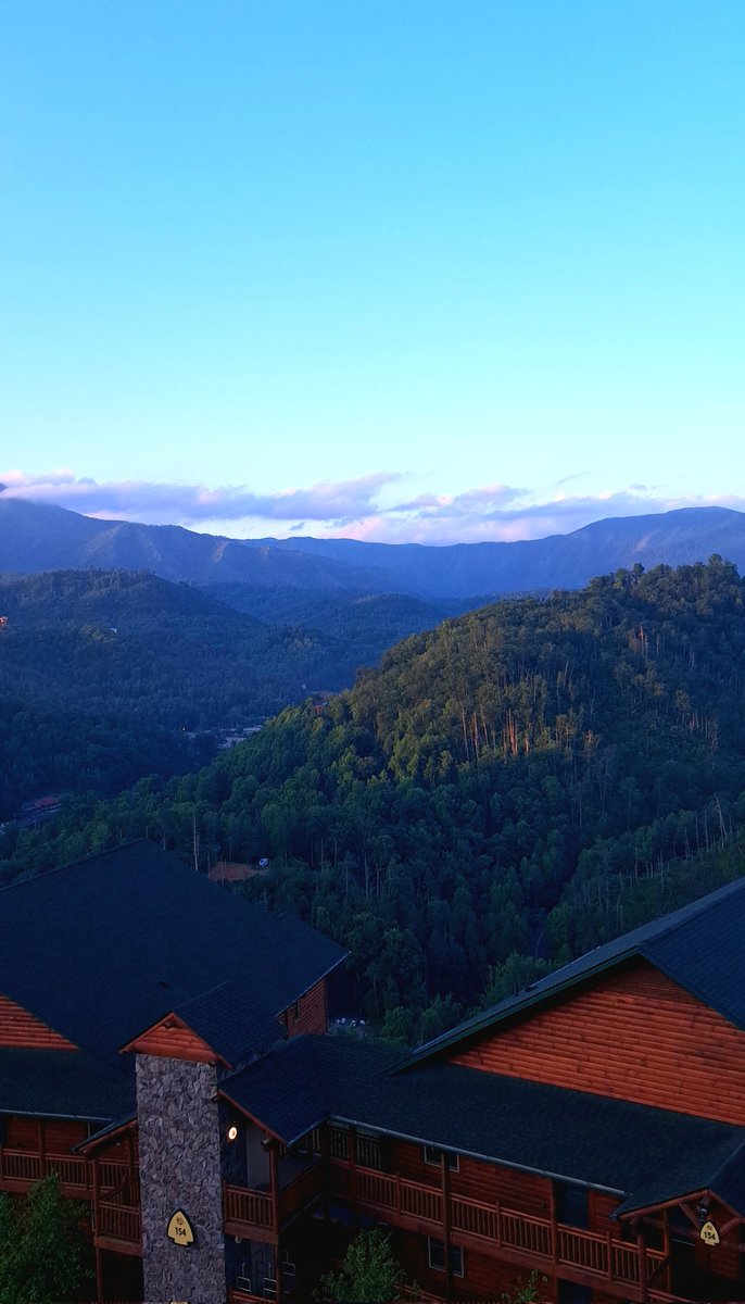 Davism64's tweet image. WOW!!!

Good morning Julia!!!

Let me see what I have today.....